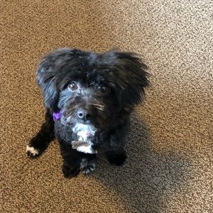 Meet your Posher, Andrea